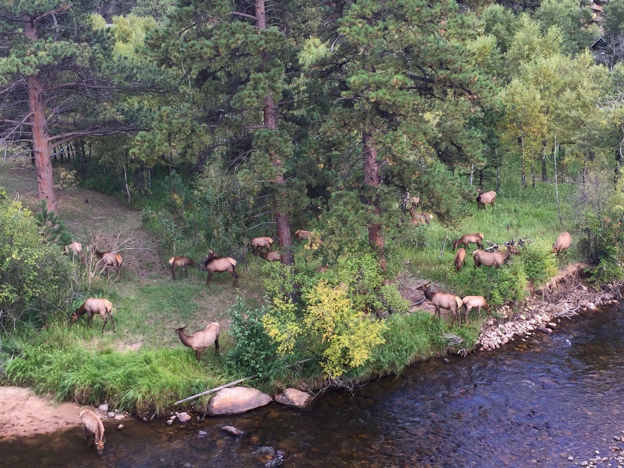 The Landing At Estes Park - Riverside Retreat Hotel Exterior foto